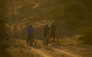Bicycle Safari Tour